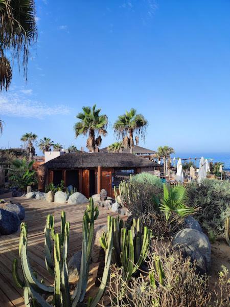Margherita House Tenerife, Wonderful Ocean View Palm-mar Zewnętrze zdjęcie