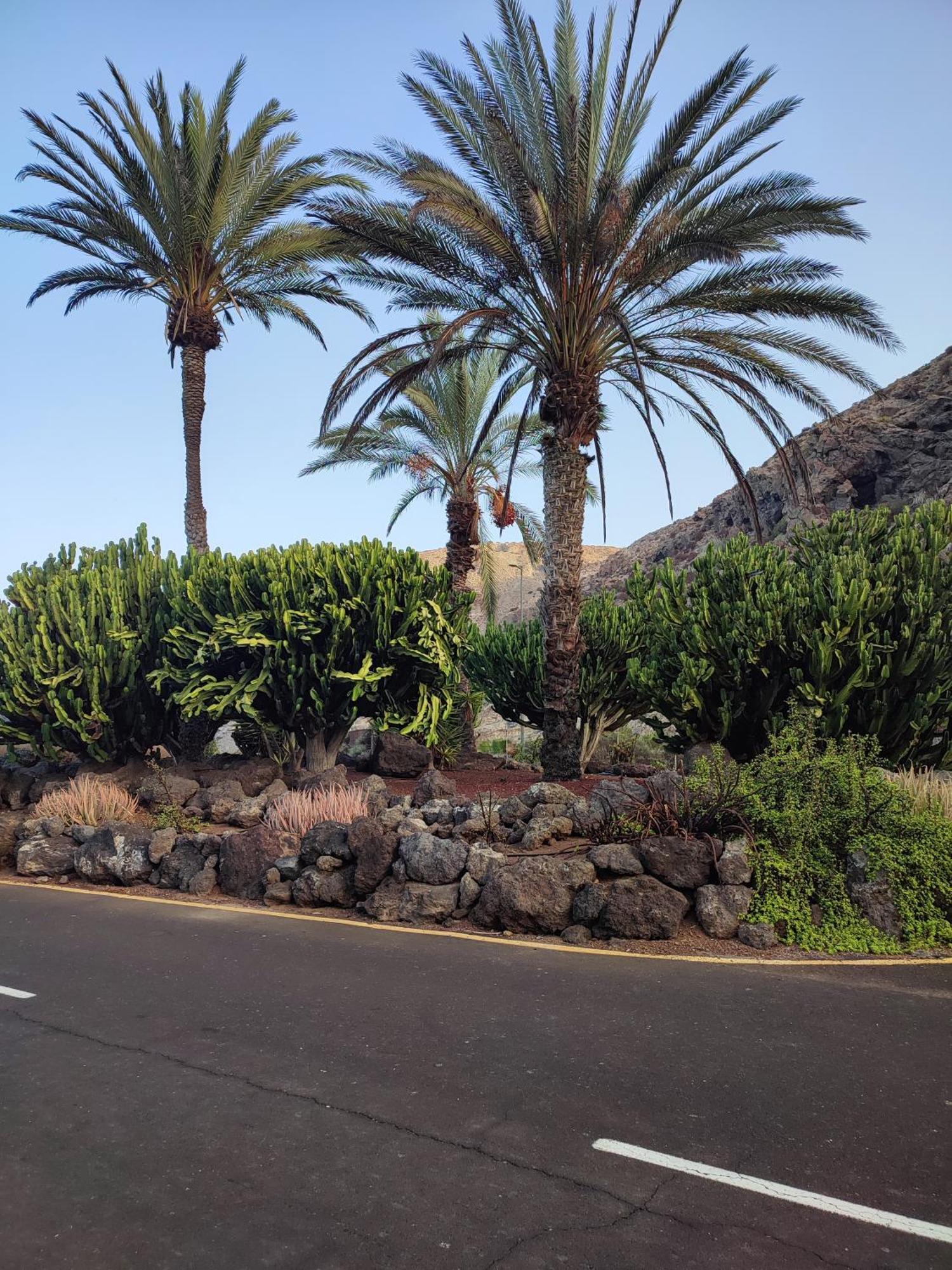 Margherita House Tenerife, Wonderful Ocean View Palm-mar Zewnętrze zdjęcie