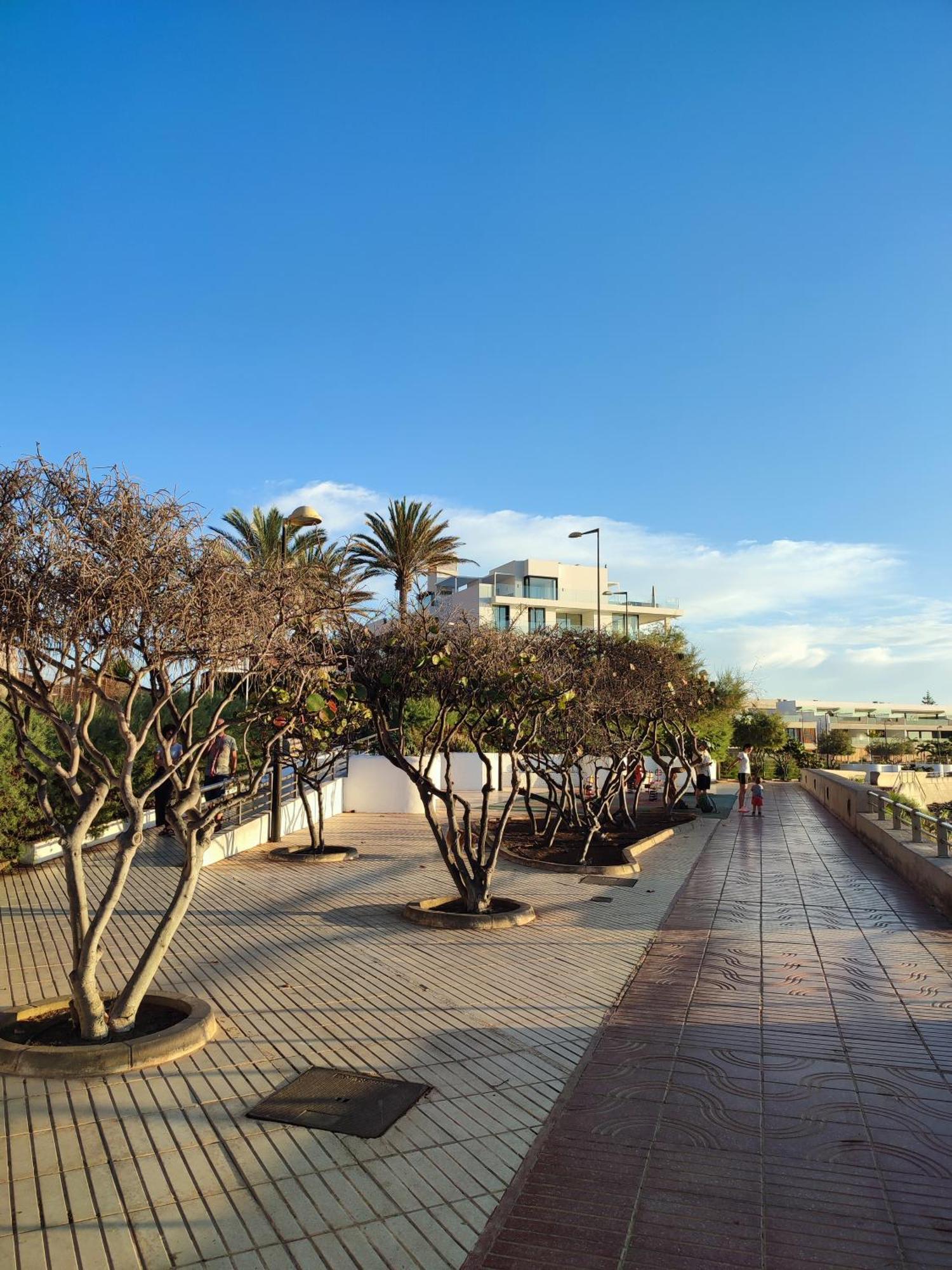 Margherita House Tenerife, Wonderful Ocean View Palm-mar Zewnętrze zdjęcie